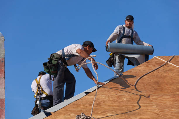 Best New Roof Installation  in Thermopolis, WY